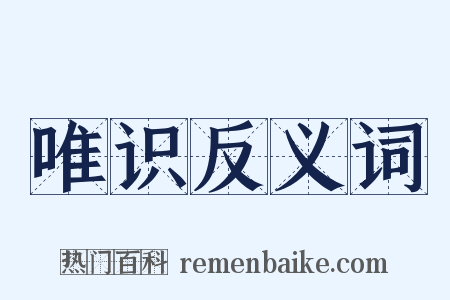 唯识反义词是什么意思的图片